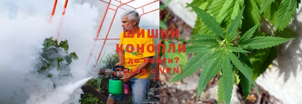 мескалин Коряжма