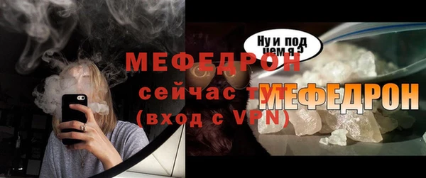 шишки Няндома