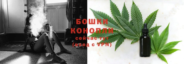 прущие грибы Козловка