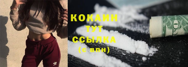 шишки Няндома