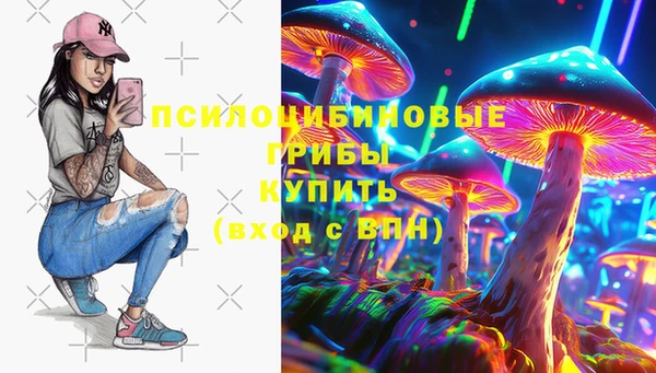 мескалин Коряжма