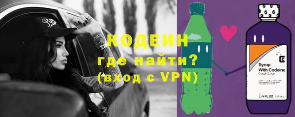 шишки Няндома