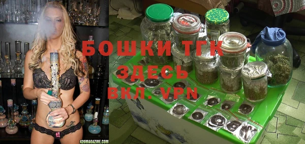 шишки Няндома