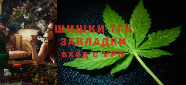 индика Корсаков