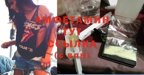 шишки Няндома
