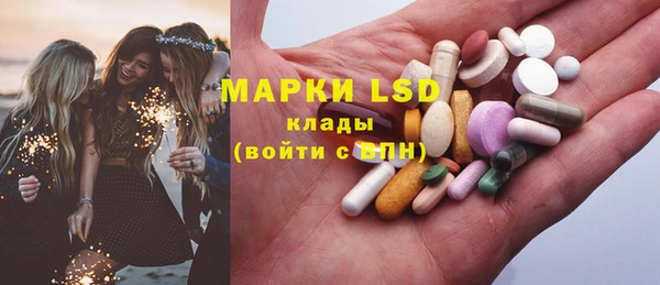 шишки Няндома