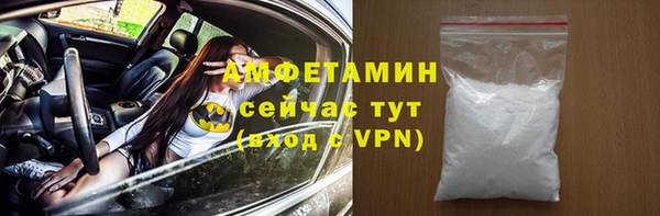 шишки Няндома