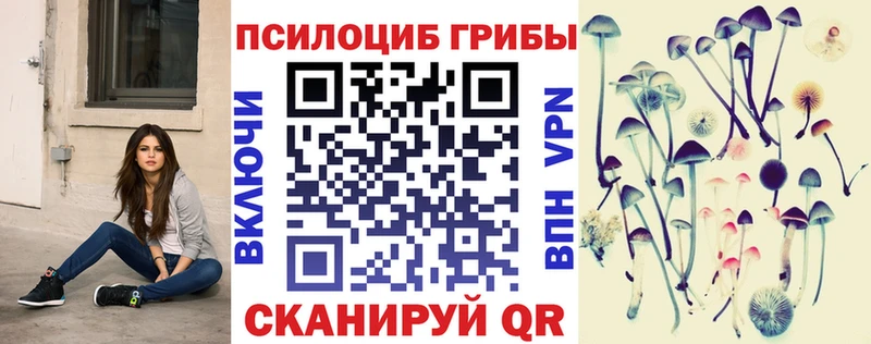 Псилоцибиновые грибы GOLDEN TEACHER  Котово 